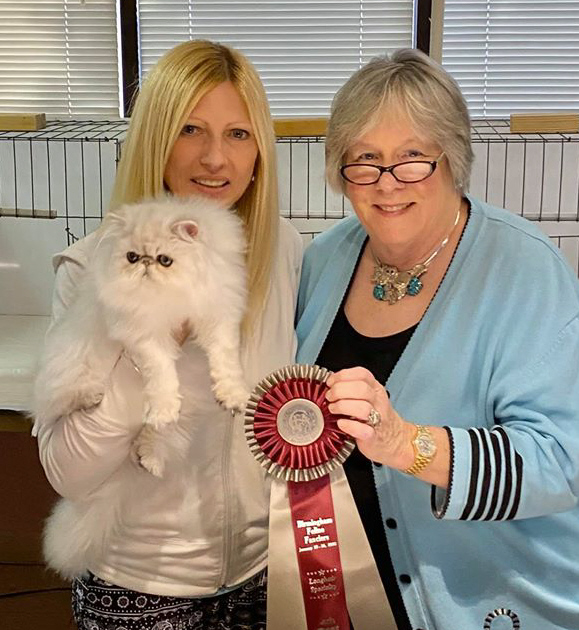 CFA cat show with judge