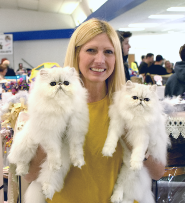 Cat show with 2 kittens